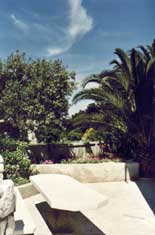 Insel Rab, Kroatien - Ferienwohnung von Privat - Banjol, Haus Mikelic - Ansicht Garten mit Palmen